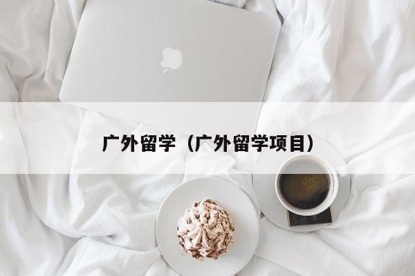广外留学（广外留学项目）