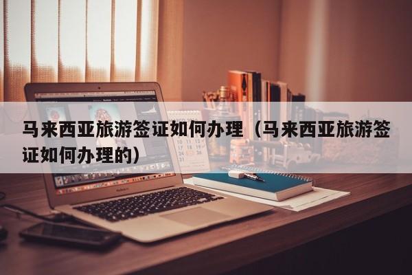 马来西亚旅游签证如何办理（马来西亚旅游签证如何办理的）