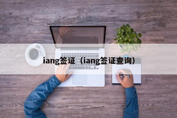 iang签证（iang签证查询）