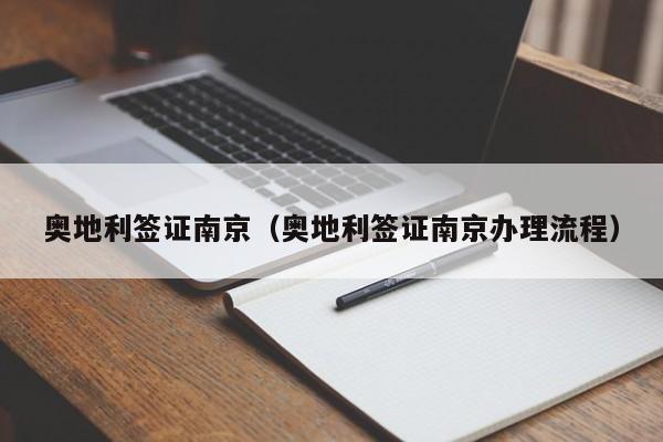 奥地利签证南京（奥地利签证南京办理流程）