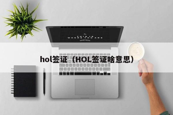 hol签证（HOL签证啥意思）