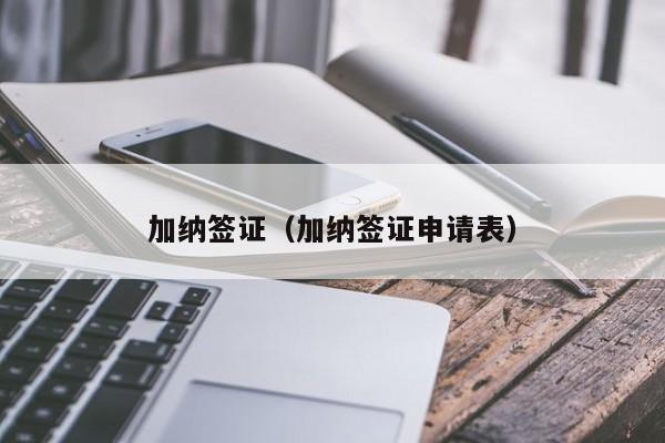 加纳签证（加纳签证申请表）