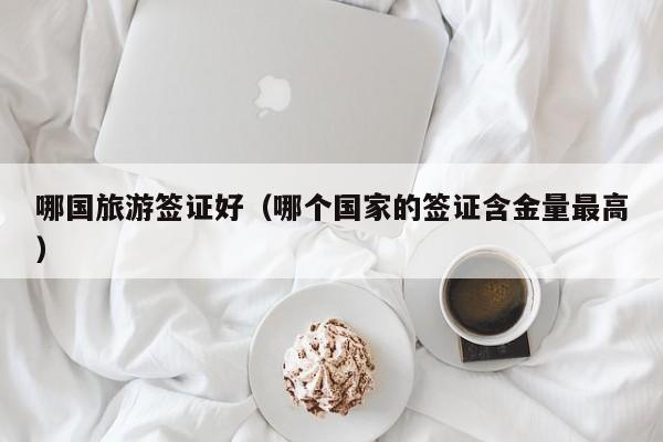 哪国旅游签证好（哪个国家的签证含金量最高）
