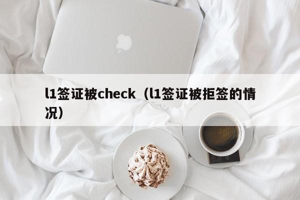l1签证被check（l1签证被拒签的情况）