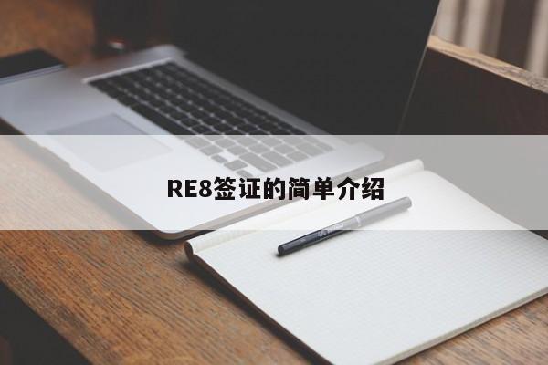 RE8签证的简单介绍