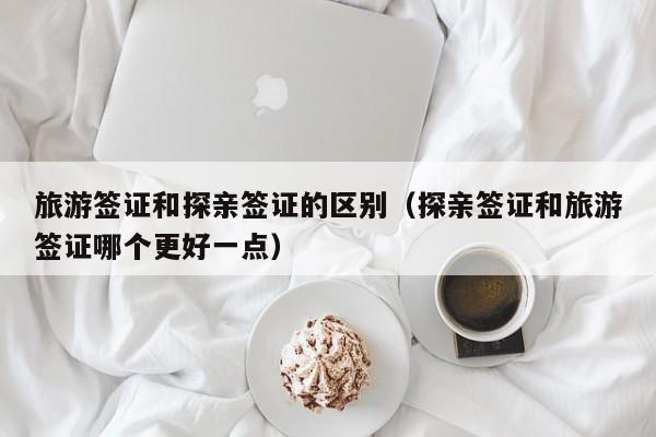 旅游签证和探亲签证的区别（探亲签证和旅游签证哪个更好一点）