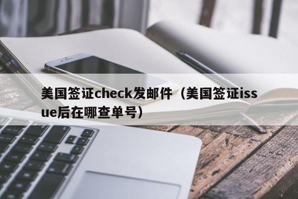 美国签证check发邮件（美国签证issue后在哪查单号）