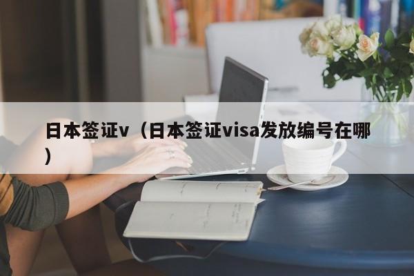 日本签证v（日本签证visa发放编号在哪）