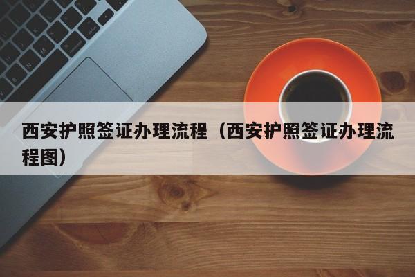 西安护照签证办理流程（西安护照签证办理流程图）