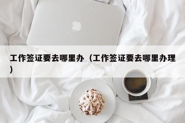 工作签证要去哪里办（工作签证要去哪里办理）