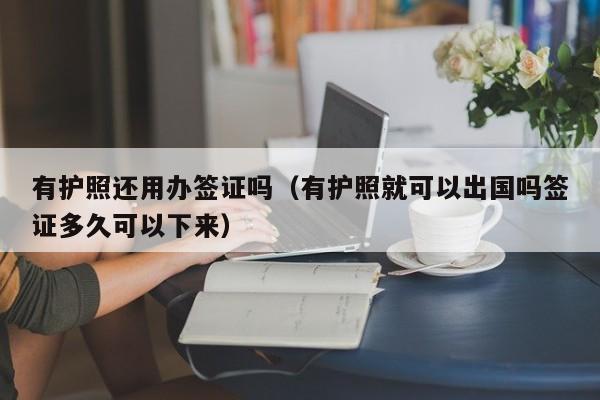 有护照还用办签证吗（有护照就可以出国吗签证多久可以下来）
