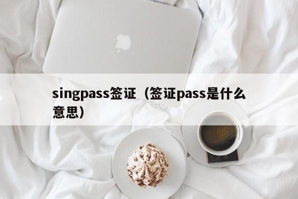 singpass签证（签证pass是什么意思）
