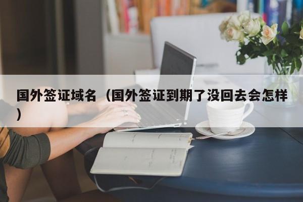 国外签证域名（国外签证到期了没回去会怎样）