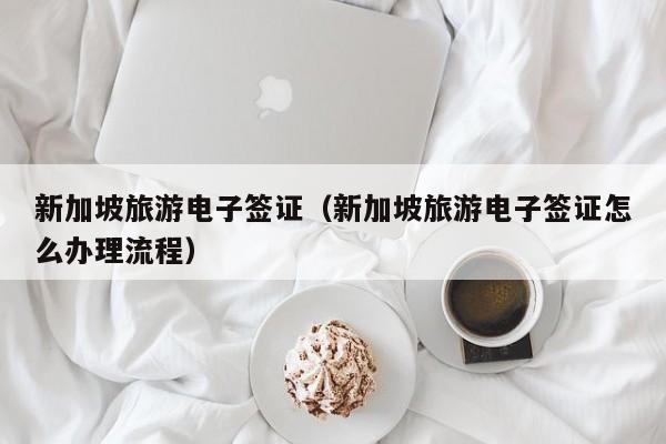 新加坡旅游电子签证（新加坡旅游电子签证怎么办理流程）