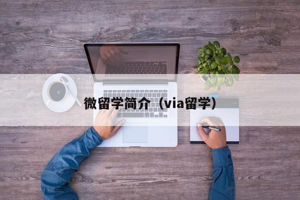 微留学简介（via留学）