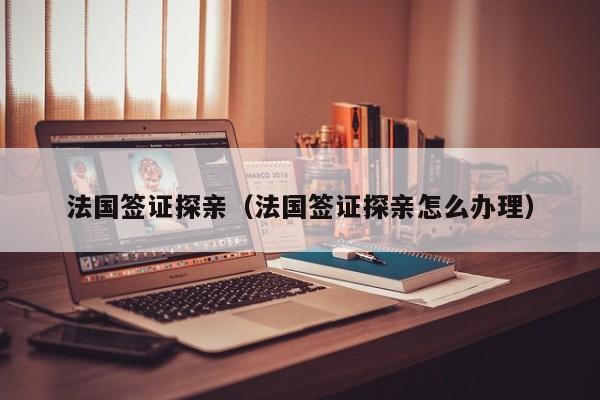 法国签证探亲（法国签证探亲怎么办理）