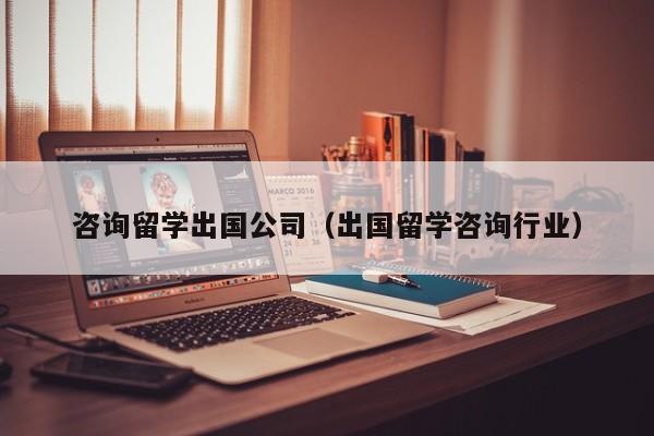 咨询留学出国公司（出国留学咨询行业）