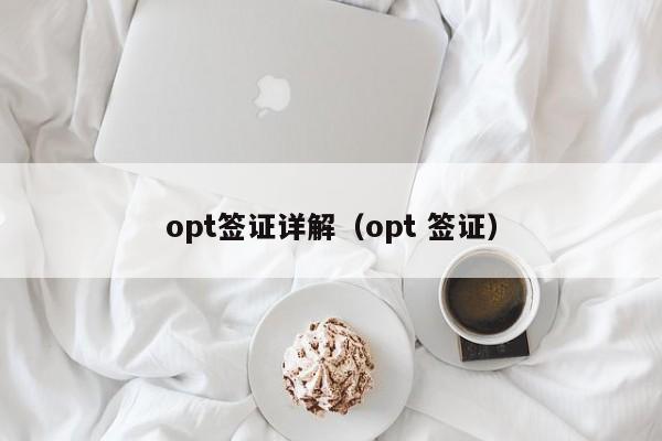 opt签证详解（opt 签证）