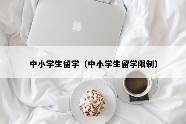 中小学生留学（中小学生留学限制）