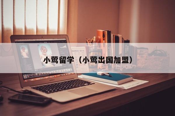小莺留学（小莺出国加盟）