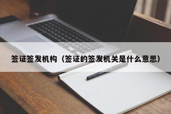 签证签发机构（签证的签发机关是什么意思）