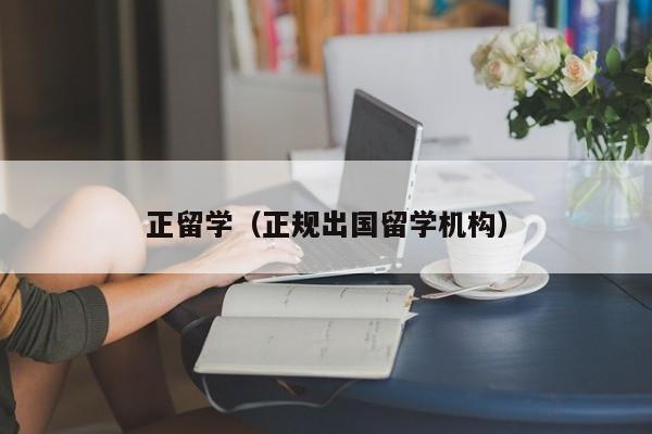 正留学（正规出国留学机构）