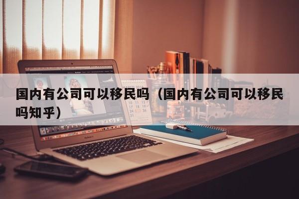 国内有公司可以移民吗（国内有公司可以移民吗知乎）