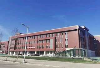 荔湾区花木场批发