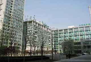 奉贤区市场程序服务供应商家