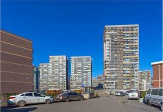 石家庄出口盆景批发价